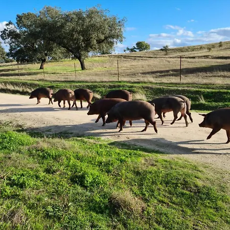 Ξενοδοχείο Chozos De La Dehesa 3*