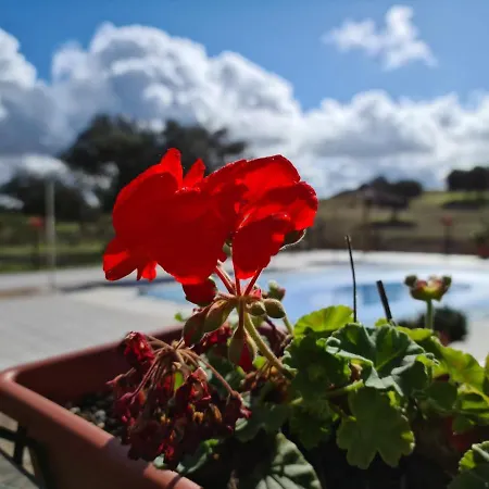 Chozos De La Dehesa Ξενοδοχείο La Roca de la Sierra