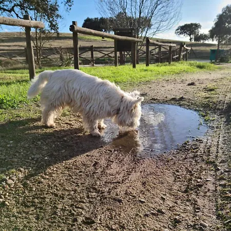 Chozos De La Dehesa 3* La Roca de la Sierra